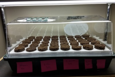 The PLANNING is the hardest part!