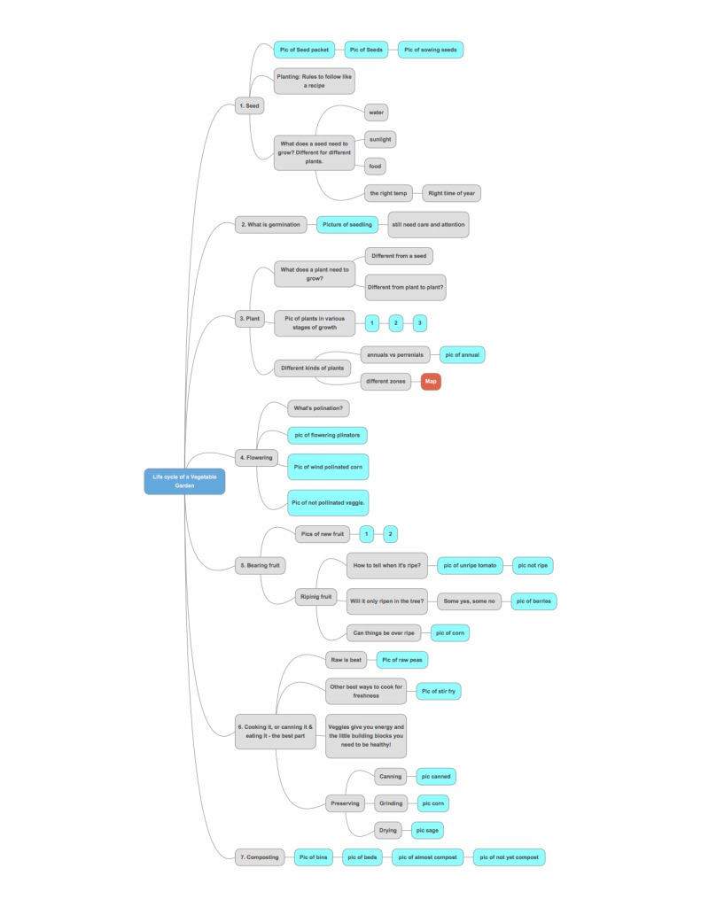 What does a mind map look like?