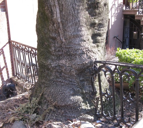 ADHD. Blessing or Curse?